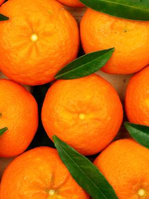 Οι ευεργετικές ιδιότητες του πορτοκαλιού