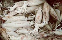 Τι βιταμίνες περιέχουν τα καλαμαράκια Τι βιταμίνες περιέχουν τα καλαμαράκια